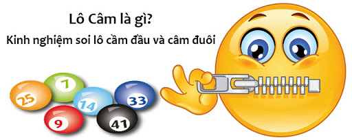 Lô câm là gì? Lô câm là gì?