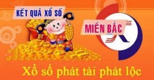Dự đoán xổ số 19/12